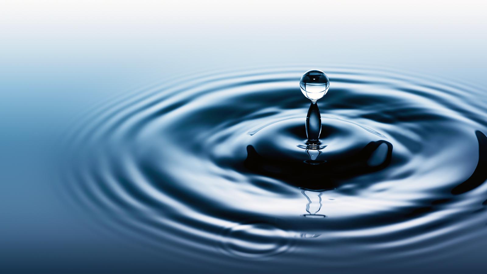 Close-up of a water droplet creating ripples on water surface